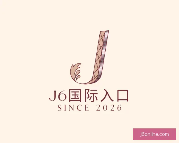关于j6国际入口